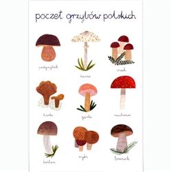 Post Card Inscription: Mushrooms post card size 4" x 6" - 10cm x 15cm.