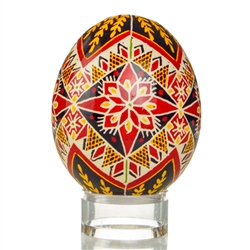 Hand Decorated Ukrainian Design Chicken Egg