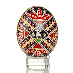 Hand Decorated Ukrainian Design Chicken Egg