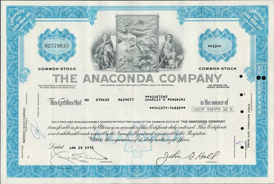 The Anaconda Company Stock Certificate - Blue