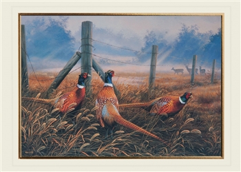 Meadow Mist and Pheasants Thanksgiving Card