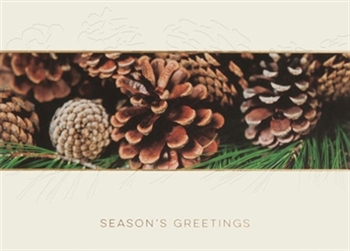 Embossed Pinecones Season's Greeting Card