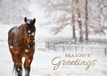 Holiday Horse Season's Greetings Card