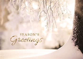Holiday Icy Winter Scene Season's Greetings Card