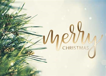 Merry Christmas Evergreen - Holiday Greeting Card