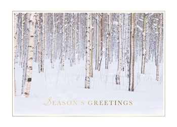 Birch Trees in Winter Holiday Greetings Card