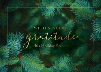 Holiday Evergreen Gratitude Holiday Greetings Card
