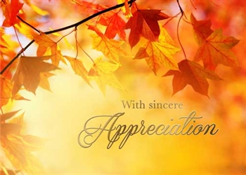 Fall Leaves Appreciation Thanksgiving - Greeting Card