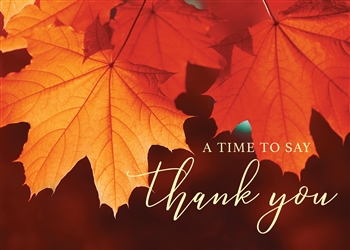 Red Maple Leafs Thank you Thanksgiving  Card - Greeting Card