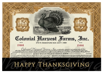 Thanksgiving Stock Certificate Greeting Card