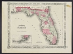 Johnson's Antique Map of Florida - 1865