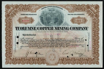 Tuolumne Copper Mining Company - 1918