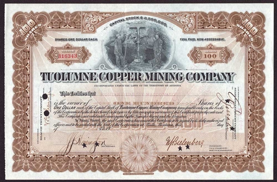 Tuolumne Copper Mining Company - 1916 - Arizona Territory