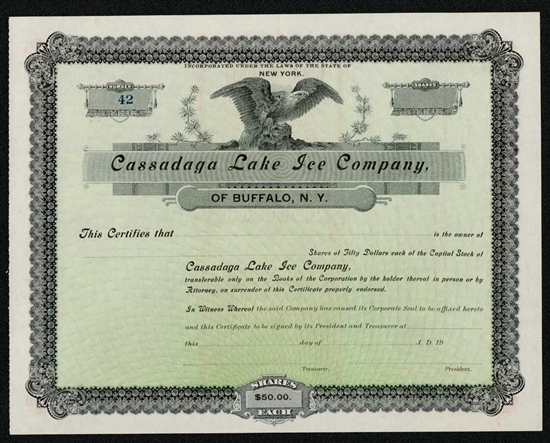 Cassadaga Lake Ice Company - Buffalo, N.Y.