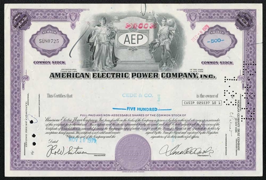 American Electric Power Company, Inc.  - Purple