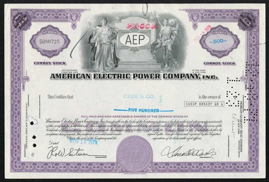 American Electric Power Company, Inc.  - Purple