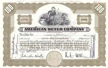 American Meter Company - 100 Shares