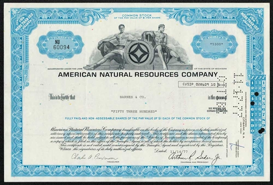 American Natural Resources Company - Blue