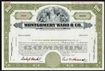 Montgomery Ward & Co Specimen Stock Certificate