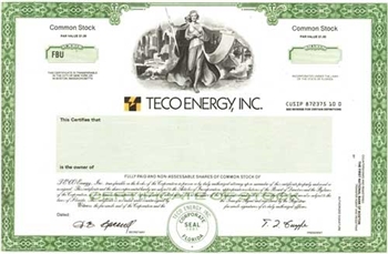 Teco Energy Inc Specimen Stock Certificate
