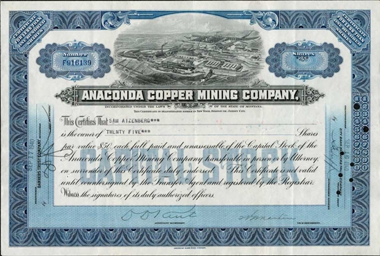 The Anaconda Company Framed Stock Certificate