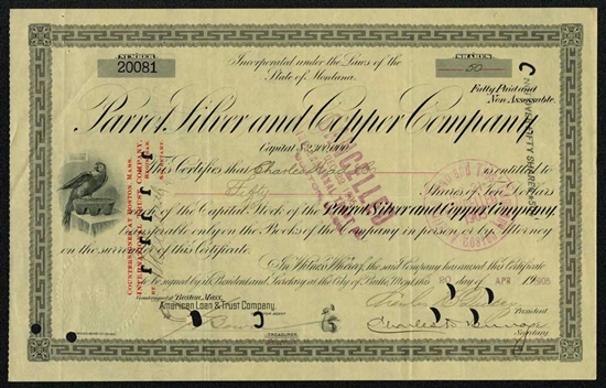 1905 Parrot Silver and Copper Company Stock Certificate