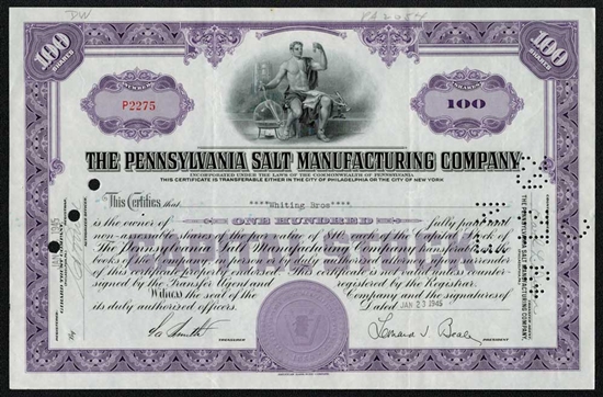 The Pennsylvania Salt Manufacturing Company Stock - Purple