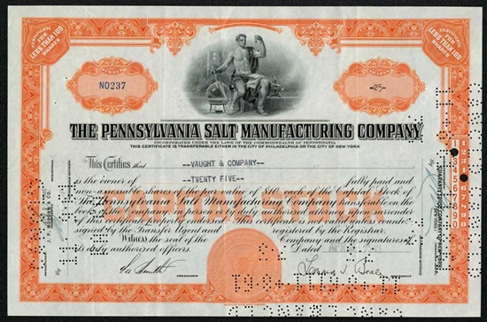 The Pennsylvania Salt Manufacturing Company Stock - Orange