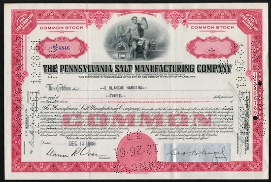 The Pennsylvania Salt Manufacturing Company Stock - Red