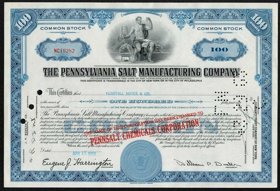 The Pennsylvania Salt Manufacturing Company Stock - Blue