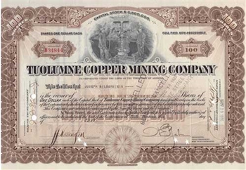 1920 Tuolumne Copper Mining Company Stock Certificate