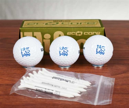 Merrill Lynch Golf Balls Set