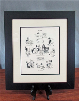 1905 Stock Exchange Cartoon - Framed