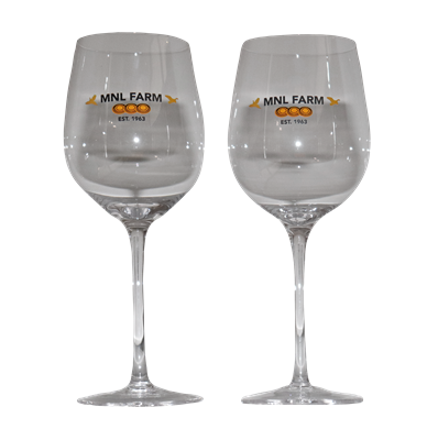 1 Set of Two Glasses - Glass Wine Cup - MNL Farm