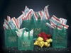 Evergreen Poly Bags
