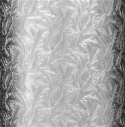 Silver Foil Embossed Akita Gift Wrap