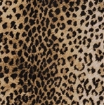 Leopard Embossed Gift Wrap