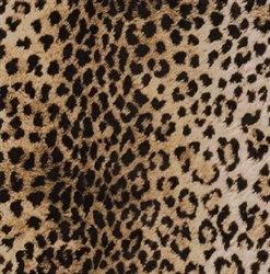 Leopard Embossed Gift Wrap