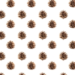 Pinecone Wholesale Packaging Gift Wrap
