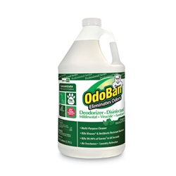 OdoBan Concentrated Odor Eliminator, Eucalyptus, 1 gal Bottle, 4/cs