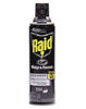 Raid Wasp & Hornet Killer Spray 12/cs