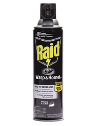 Raid Wasp & Hornet Killer Spray 12/cs