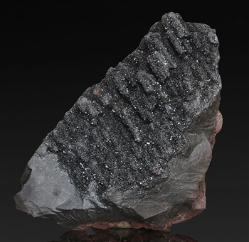 SPECULARITE