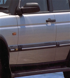 Discovery Bodyside Molding with Chrome STC50168