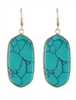 Semi Precious Stone Fish Hook Earrings