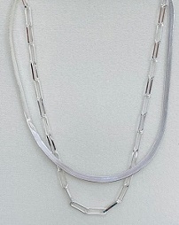 Layered Snake & Paper Clip Necklace