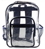 Clear Backpack