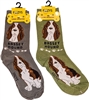 Basset Hound