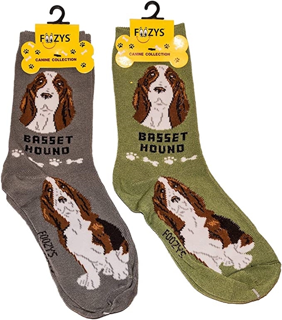 Basset Hound