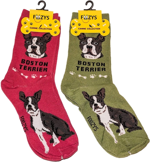 Boston Terrier